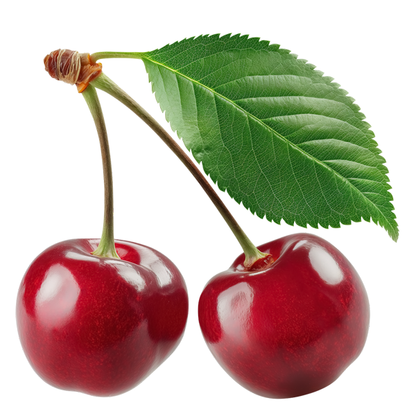cerise