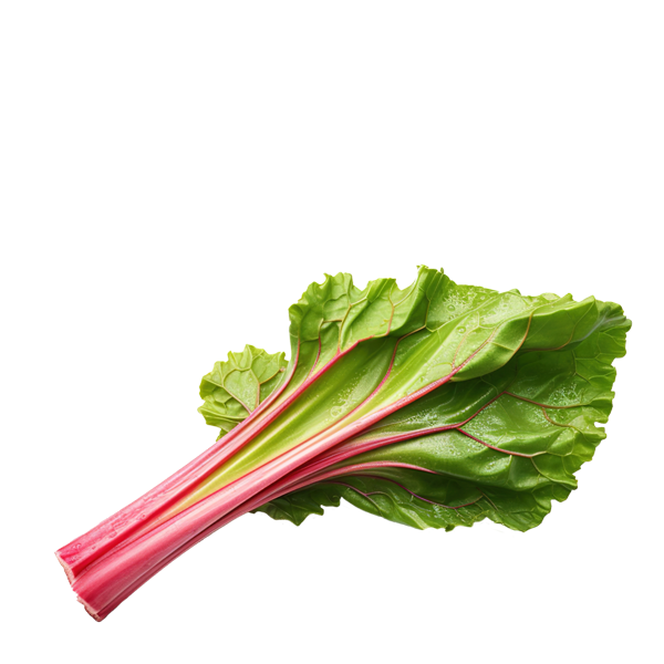 rhubarbe