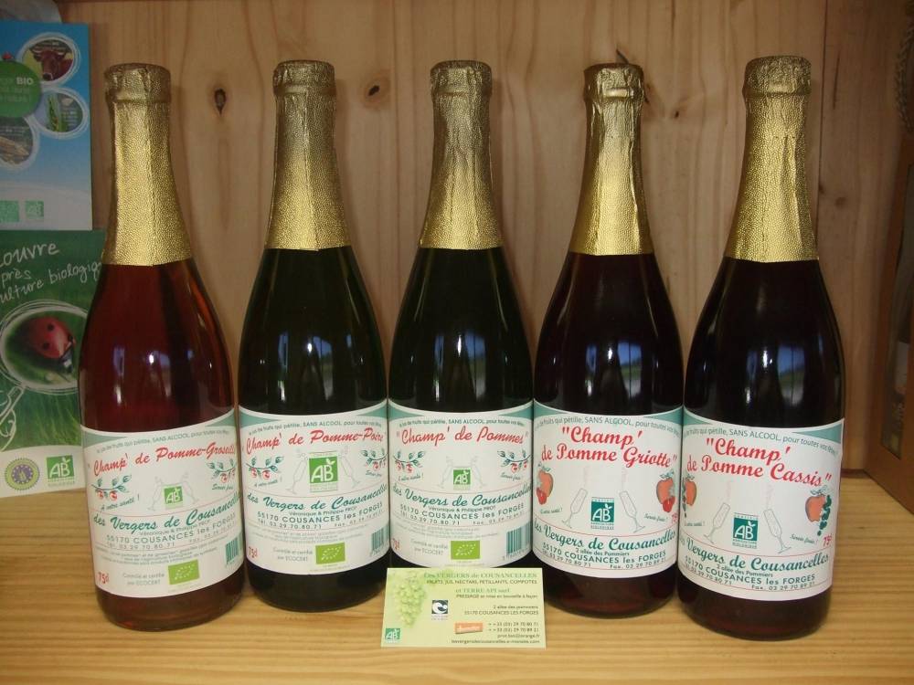 Fabrication artisanale de cidre bio près de Saint-Dizier
