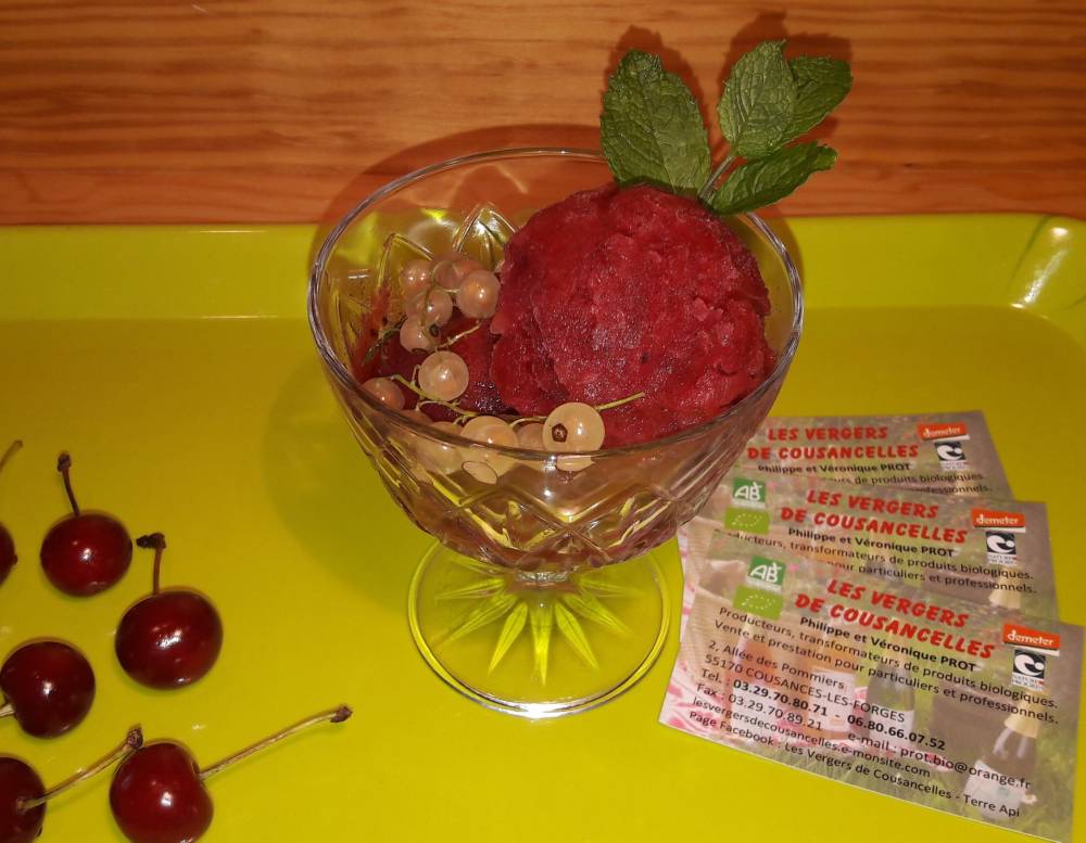 sorbet