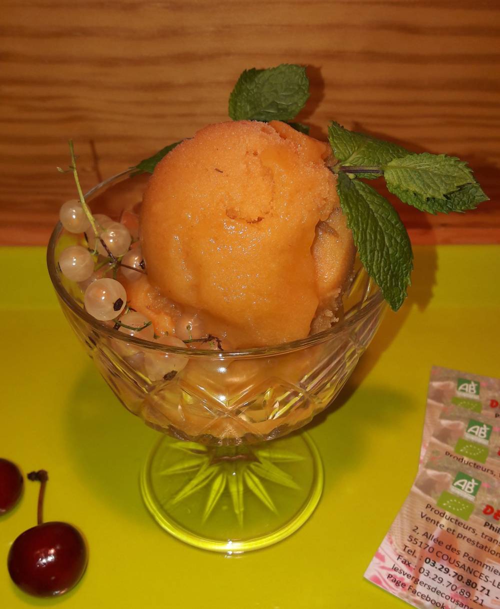 sorbets